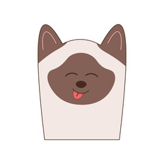 Cute Cat Characters