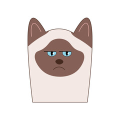 Cute Cat Characters