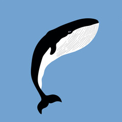 A hand drawn whale on blue background. Ocean and sea life theme. Hand drawn artwork.
