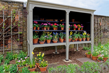 English country garden - vintage garden