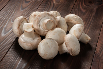 porcini champignon mushrooms on a wooden background close-up