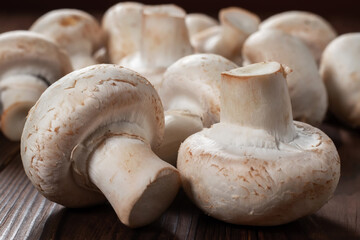 porcini champignon mushrooms on a wooden background close-up