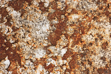 Rusted white painted metal wall. Rusty metal background with streaks of rust. Rust stains.