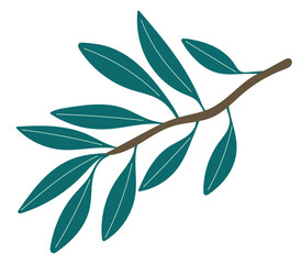 olive branch with green leaves flat vector nature ecological mediterranean plants minimalistic illustration design isolated hand drawn
