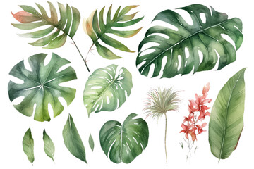 Set of Tropical leaves isolated on white background. AI Generative AI
