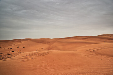 Fototapeta na wymiar Desert, sand dunes