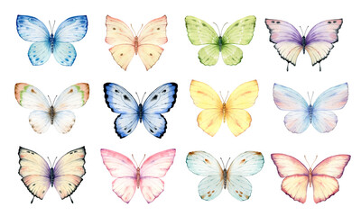 Fototapeta na wymiar Watercolor set of bright hand-painted butterflies. Design for the decoration of postcards, invitations, greeting cards, birthday, souvenirs, weddings.
