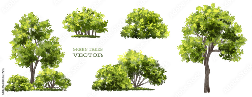 Wall mural vector watercolor of tree side view isolated on white background for landscape and architecture draw