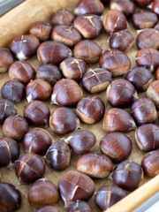 Close-up of raw brown chestnuts with a cut made on top prepared for roasting on a baking sheet. Vertical shot. Selective focus. Healthy organic autumn food.