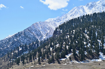 Naltar Valley, Tourist Attraction in Gilgit-Baltistan, Northern Pakistan