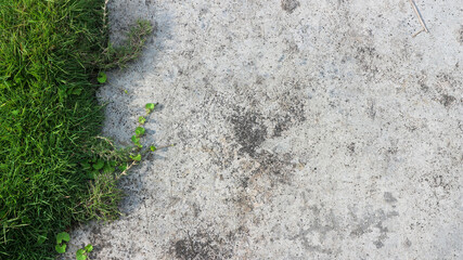 green grass and asphalt Texture