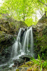 Fototapeta premium Waterfall 