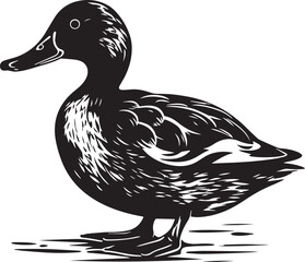 Duck, duck on the water, duck head, Vector Illustration, SVG