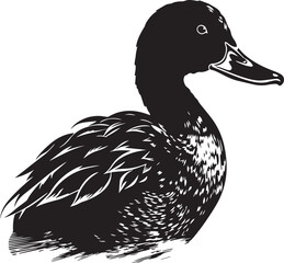 Duck, duck on the water, duck head, Vector Illustration, SVG