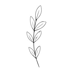  vector hand drawn floral decorative elements set of leaves/modern style wedding, birthday party, dewar at home, painting flowers.