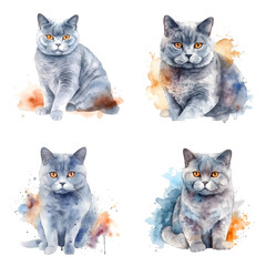 Shorthair kitty watercolor paint collection