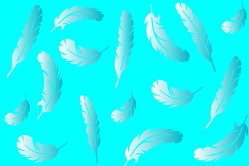 Fototapeta na wymiar Vector collection of feathers, beautiful feathers of different shapes scattered randomly on a pastel blue background 