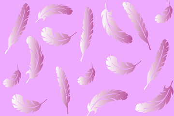 Vector collection of feathers, beautiful feathers of different shapes scattered randomly on a pastel pink background	