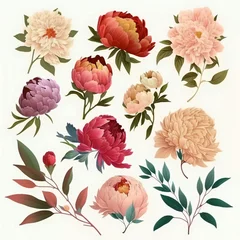 Fotobehang Beautiful set of peonies in warm color palette, Watercolor flower illustration. Read and pink peony on a white background. Set Peonies flowers © Stepan