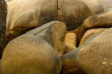 Collection of photos with theme beach