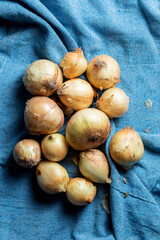Pile of onions on a blue cloth background, top view
