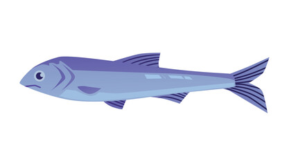 Anchovy small valuable shoaling fish, flat cartoon vector illustration isolated.