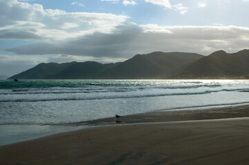 Collection of photos with theme beach