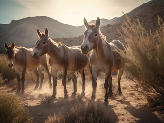 Group of Donkey in natural habitat (generative AI)