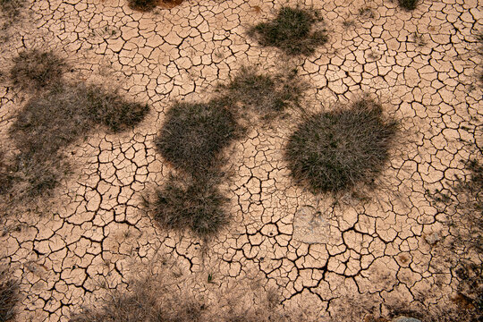 spękana ziemia, susza i katastrofa klimatyczna