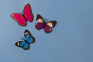 Spring butterfly background with room for text on light periwinkle spring color