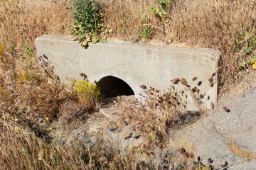 Dry culvert for water drainage under roadway.