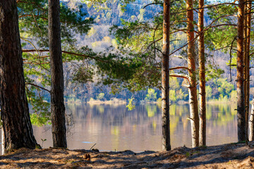 View of the river from the forest