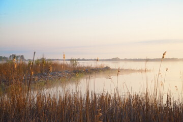 Riet in Overijssel