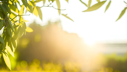 defocused olive fiel trees background with branches on the side at morning sunshine with copyspace. (Generative AI)