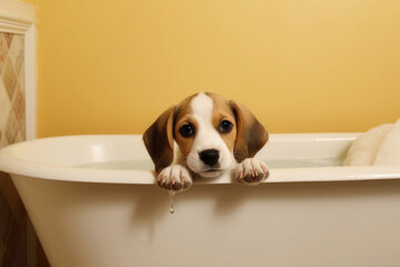 Cute dog showering in bath with shampoo foam. Washing pet. Created with Generative AI