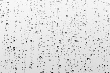 Rain drops on the window