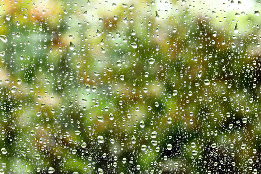 Rain drops on the window © Mirko