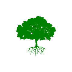 Obraz premium Tree with root icon isolated on transparent background