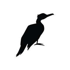 Cormorant or shag black silhouette, flat vector illustration isolated on white background.