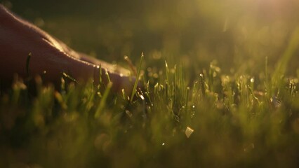 Close up of man fingers touching fresh wet green grass after spring rain or watering, sunlight. Farmer palm stroking cut lawn. Meadow lawn grass covered with big dense dew water drops. Earth Day.