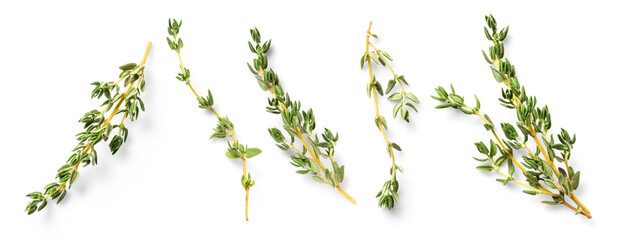 Mediterranean cuisine: set / collection of fresh thyme twigs in different positions over a transparent background, isolated herbs with subtle natural shadows, top view / flat lay - obrazy, fototapety, plakaty