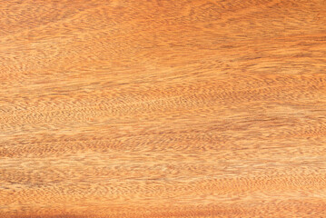 Bright wooden background from mahogany wood panel