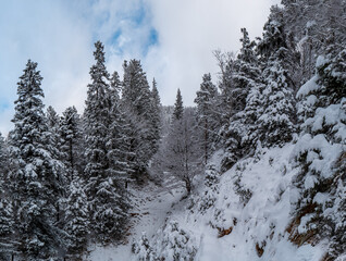 Snow Day Bavarian Mountain hike to the Herzogstand peak 