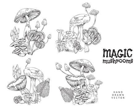 Magic fairy tail poisonous mushrooms set engraved vector illustration isolated.