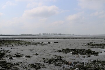 bay of Mont Saint Michel in France 