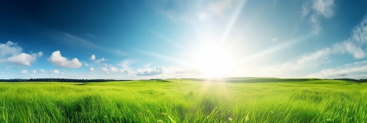 Plakat Green beautiful panoramic natural landscape of a green_field in beautiful style on white background. Summer vacation. Spring season. Natural background. Travel background. Natural beauty.