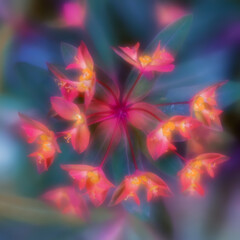 Macro plants in soft focus 