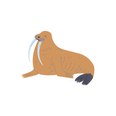 Fototapeta premium Brown walrus arctic animal flat style, vector illustration