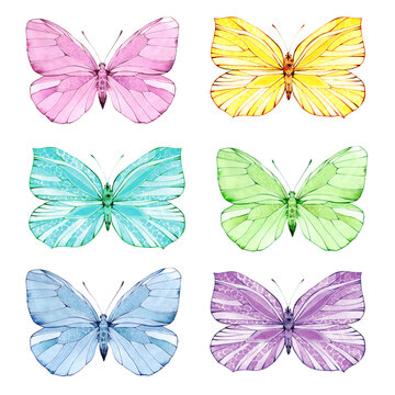 Amazing butterflies set. Watercolor illustration, poster.