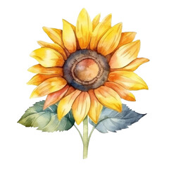 Watercolor sunflower isolated. Illustration AI Generative.